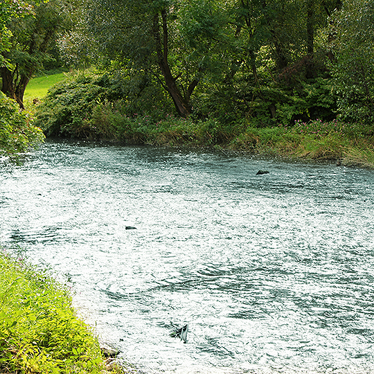 Hände halten eine kleine Pflanze